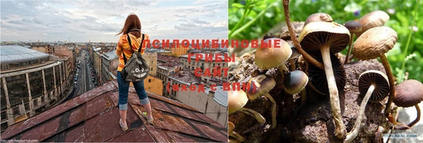 трава Пролетарск