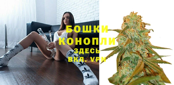 ALPHA PVP Ростов